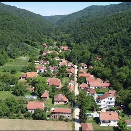 Apartamento Domacinstvo Trifunovic Pretresnja Exterior foto