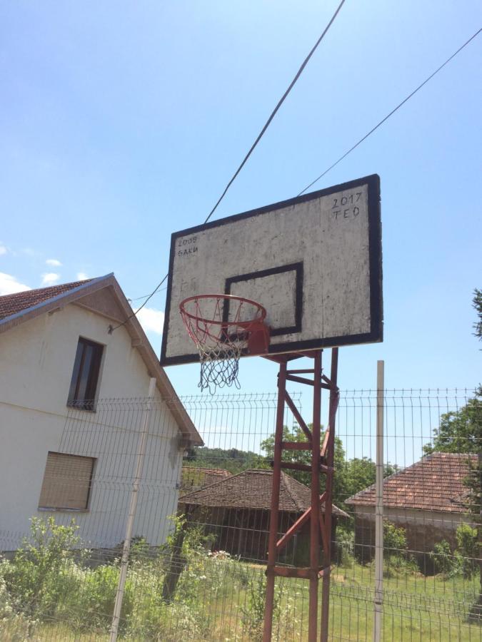 Apartamento Domacinstvo Trifunovic Pretresnja Exterior foto