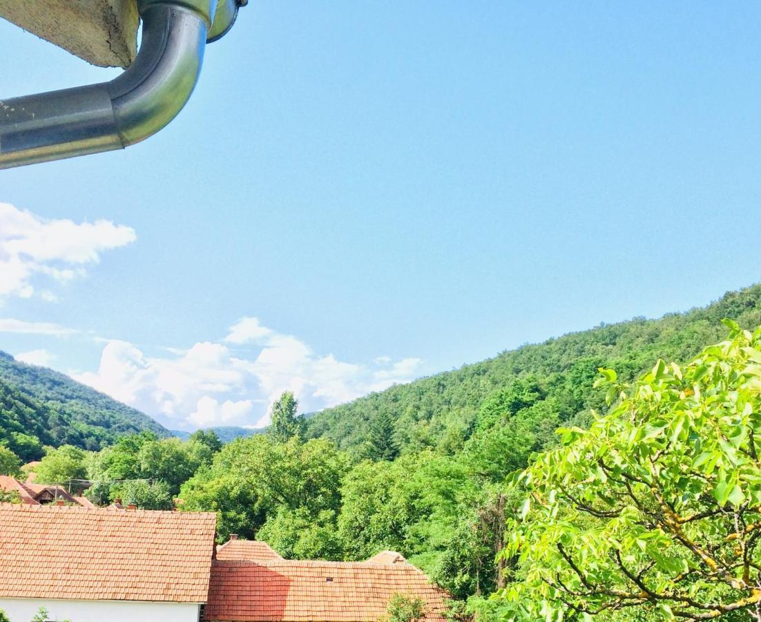Apartamento Domacinstvo Trifunovic Pretresnja Exterior foto