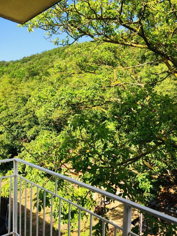 Apartamento Domacinstvo Trifunovic Pretresnja Exterior foto