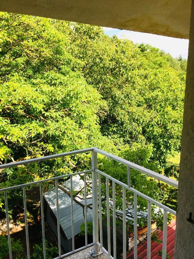 Apartamento Domacinstvo Trifunovic Pretresnja Exterior foto