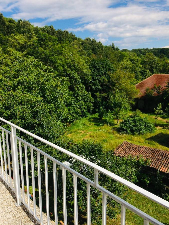 Apartamento Domacinstvo Trifunovic Pretresnja Exterior foto