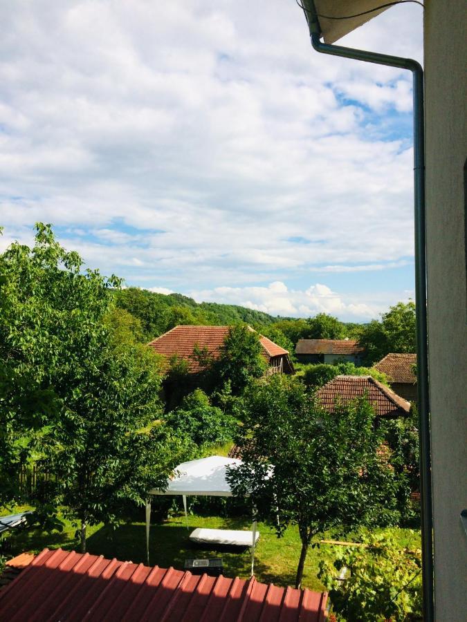 Apartamento Domacinstvo Trifunovic Pretresnja Exterior foto