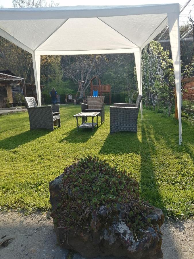 Apartamento Domacinstvo Trifunovic Pretresnja Exterior foto