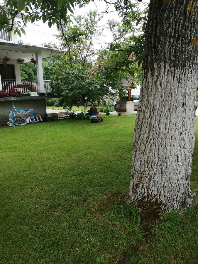 Apartamento Domacinstvo Trifunovic Pretresnja Exterior foto