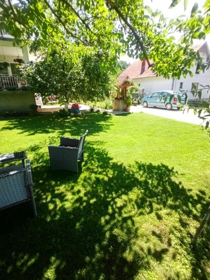 Apartamento Domacinstvo Trifunovic Pretresnja Exterior foto