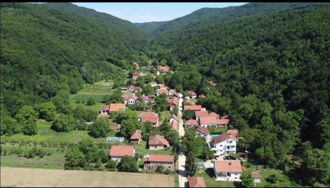 Apartamento Domacinstvo Trifunovic Pretresnja Exterior foto