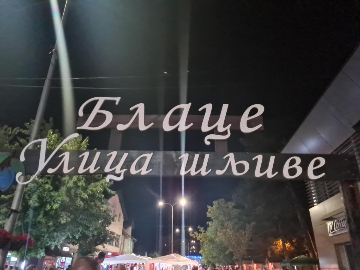 Apartamento Domacinstvo Trifunovic Pretresnja Exterior foto
